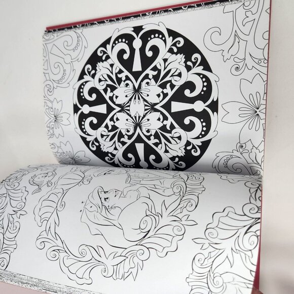 Art Therapy: Disney Princess: 100 Images to Inspire Creativity and Relaxation - Picture 7 of 12